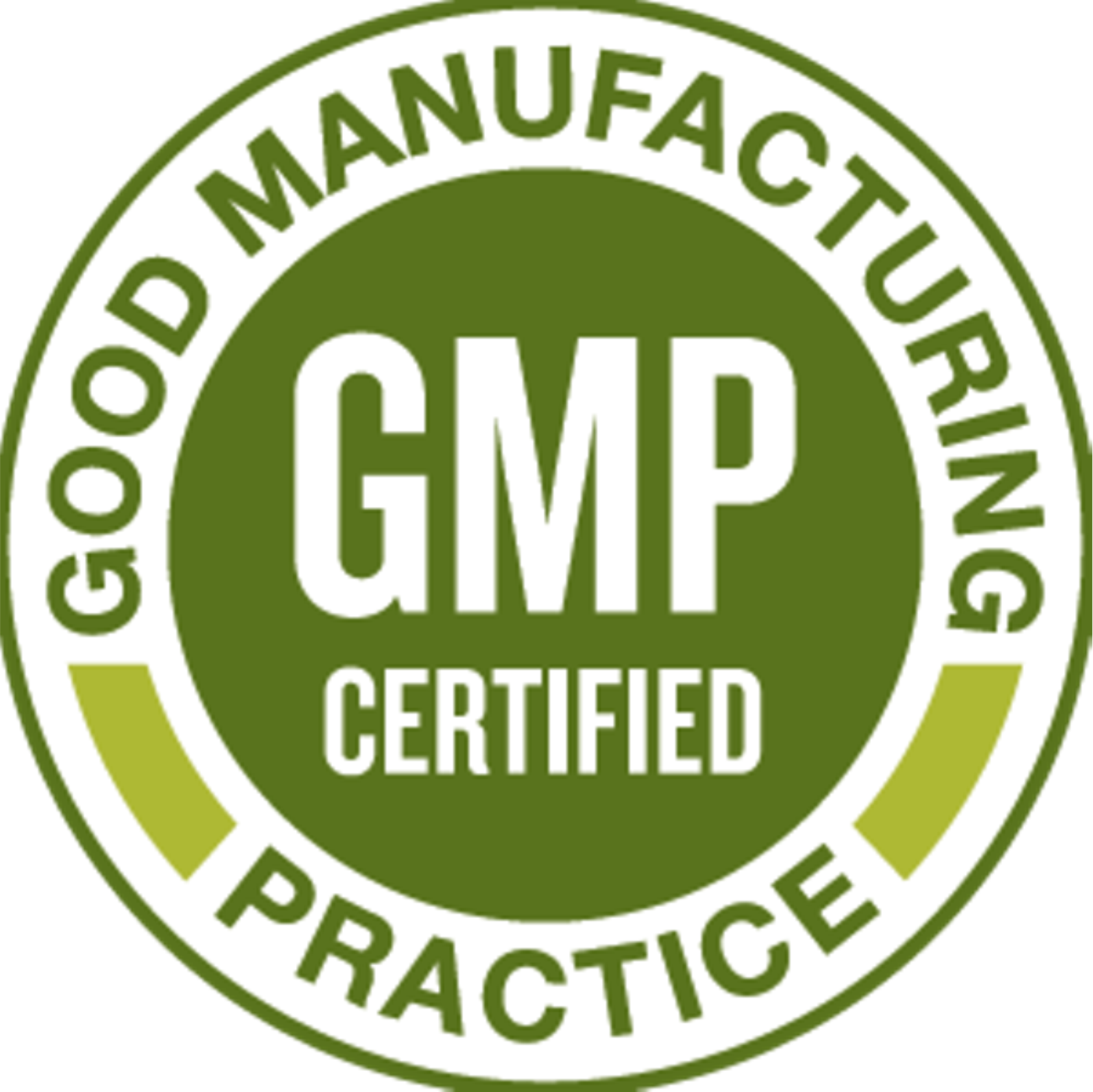 GMP 2 1