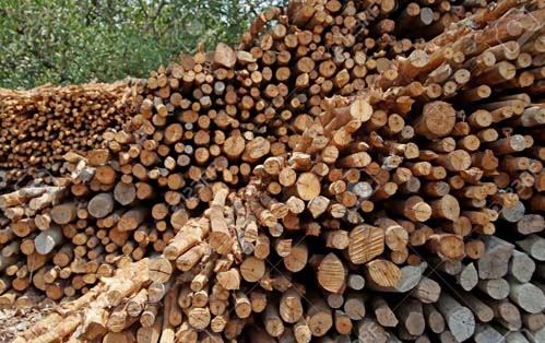 madera