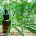 Reglamento que regula el uso medicinal y terapéutico del cannabis y sus derivados